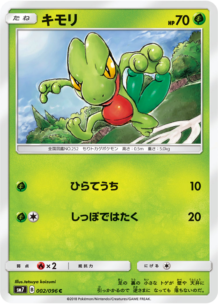 キモリ (C)