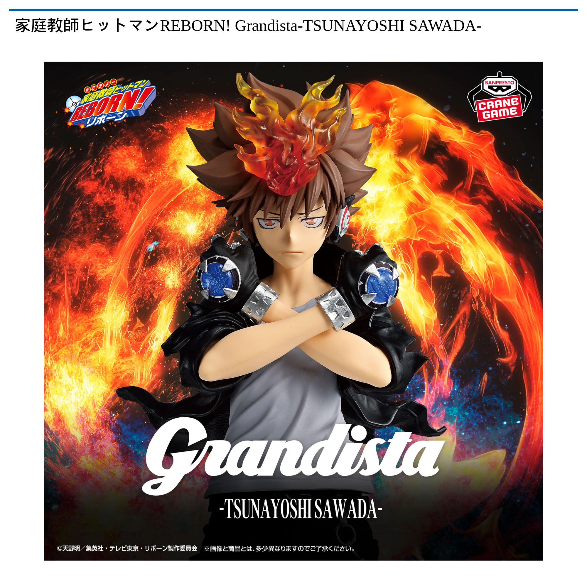 家庭教師ヒットマンREBORN! Grandista-TSUNAYOSHI SAWADA-