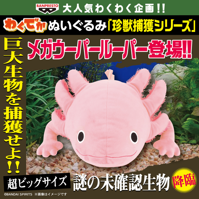わくでかぬいぐるみ 珍獣捕獲シリーズ～メガウーパールーパー～