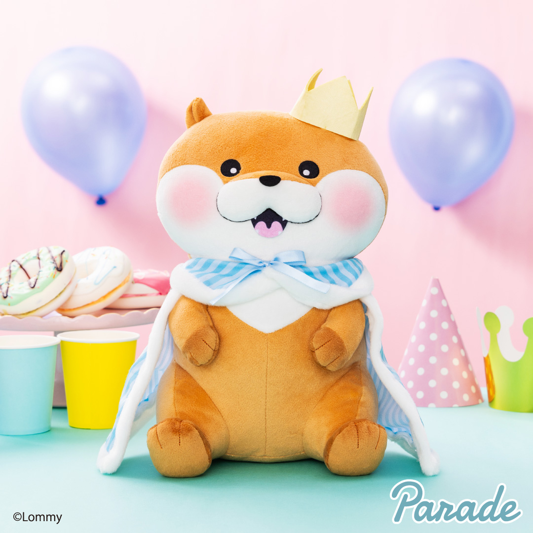 可愛い嘘のカワウソ 誕生日だぬ！BIGぬいぐるみ