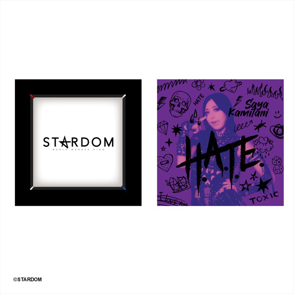 STARDOM クッション ~GiGOグループのお店限定~