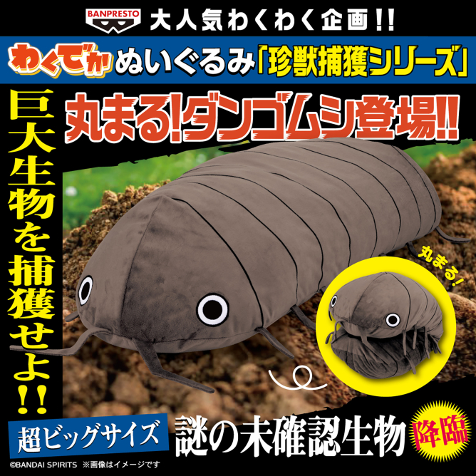 わくでかぬいぐるみ 珍獣捕獲シリーズ～丸まる！ダンゴムシ～