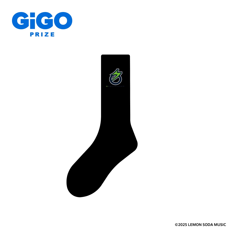 名称非公開 【急募】迷子の靴下【もう片方】～GiGO限定～