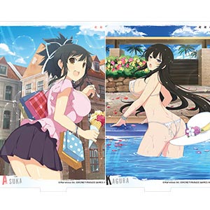 閃乱カグラ アクリルスタンド コレクション vol.10 10個入りセット