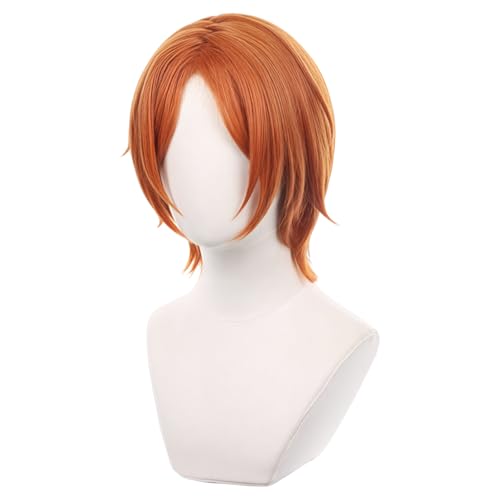 あんさんぶるスターズ 葵 ひなた あおい ひなた ウィッグ コスプレ 耐熱 かつら メッシュネット付き 小物 グッズ 撮影用 イベント ハロウイン 仮装 変装