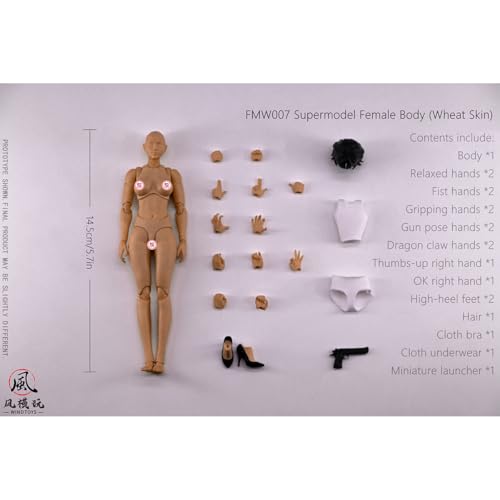 HiPlay Wind Toys 1/12 スーパーモデル 女性 素体 FMW007 サンタン肌 ボディ 関節素体 フィギュア 可動フィギュア