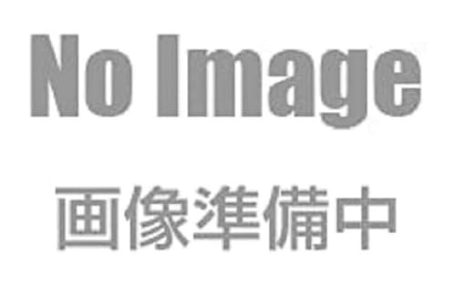 グッドスマイル モーメント[Goodsmile Moment]初音ミク GTプロジェクト 初音ミク レーシングVer. 2025 スーツケースポップ エコプラスチック