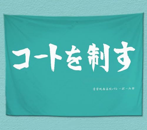 ハイキュー コスプレ 応援旗 烏野 音駒 稲荷崎 梟谷 青葉城西 白鳥沢 鴎台 伊達工業 布ポスター 壁掛け タペストリー 部屋飾り 壁アート バレボール部 大旗 応援団 おしゃれ サイズ選択 (130*150cm,青葉城西) [並行輸入品]