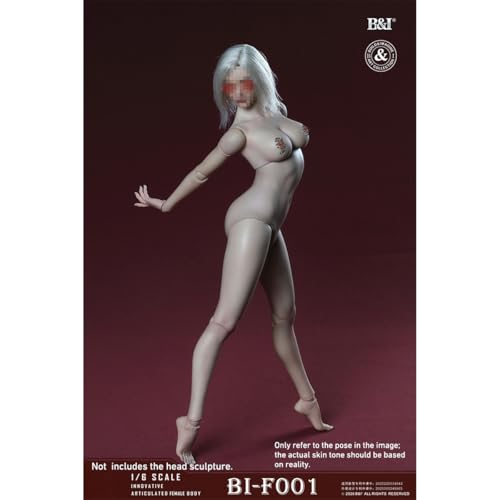 HiPlay B&I 1/6 可動女性素体 通常素体 冷色肌 BI-F001-B ボディ フィギュア 超可動