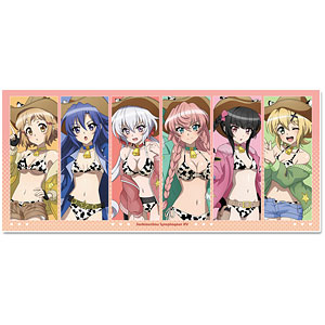 戦姫絶唱シンフォギアXV 描き下ろし スポーツタオル カウガールver.