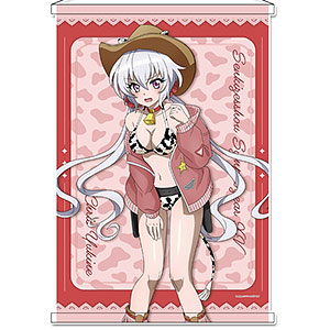 戦姫絶唱シンフォギアXV 描き下ろし B2タペストリー 雪音クリス カウガールver.