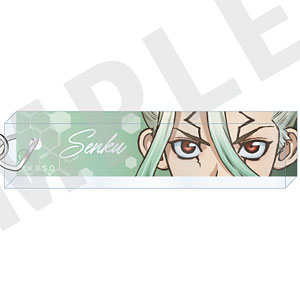 「Dr.STONE」 ～favorite series～ 目元アクリルキーホルダー(石神千空)