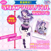 【予約発売】アイカツアカデミー！ほぼ等身大アクリルパネル1st Anniversary　凛堂たいむ