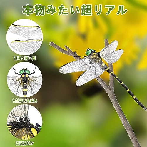 GOKIMAE モデル 虫除けトンボ 蜻蛉 【本物とそっくり】SNS話題人気 PVC材質 黒 安全ピン ストラップ付き 虫避け動物のプラモデル・模型 室内装飾 ベランダ 網戸 登山 渓流釣り キャンプ アウトドア 屋外と屋内両用(12cm-1匹)