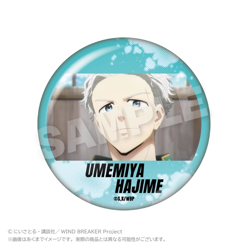 【予約2026年02月】WIND BREAKER メモリーズちょびでか缶バッジ 梅宮 一 ステラノーツ