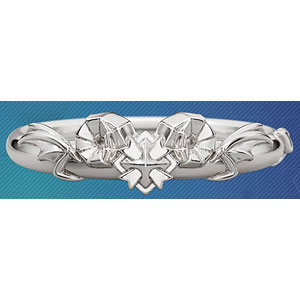 【限定販売】【特典】アズールレーン モチーフリング(ヒンデンブルク) シルバー 13号