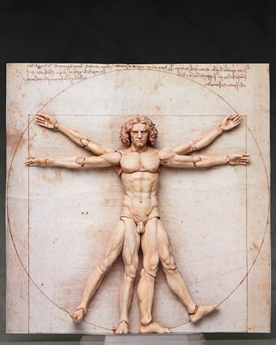 figma ウィトルウィウス的人体図 ノンスケール PVC&ABS製 塗装済み 完成品可動フィギュア