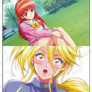 ときめきメモリアル クリアブロマイド 新グラフィック 13個入りセット