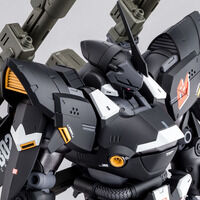ＭＧ 1/100 ケンプファー・シュヴェーア【再販】