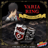 家庭教師ヒットマンREBORN! ヴァリアーリング【2026年1月発送】