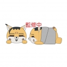 【グッズ-パンフレット】ミュージカル「忍たま乱太郎」 第15弾 忍術学園 学園祭 フォトブック
