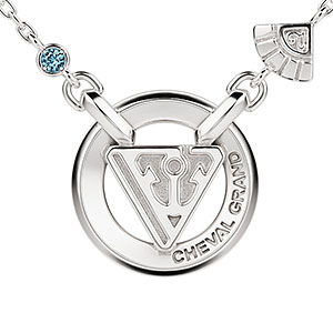 【限定販売】【特典】ウマ娘 プリティーダービー モチーフネックレス(シュヴァルグラン) シルバー