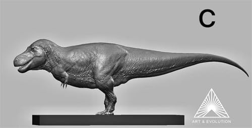 ティラノサウルス FMNH PR2081 獣脚類 恐竜 リアル フィギュア 3スケール展開 白亜紀末期 情景セット 樹脂 プラモデル 模型 スタチュー 台座付き (C 1/10未塗装) [並行輸入品]