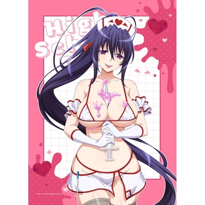 【グッズ-タペストリー】ハイスクールD×D HERO 描き下ろしB2タペストリー(姫島朱乃/白ナース)Wスエード【再販】