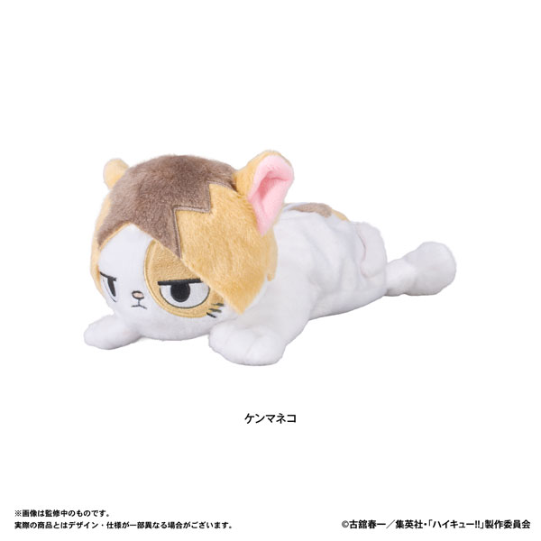 ハイキュー!! ぬいぐるみペンポーチ(ケンマネコ)