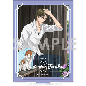 新テニスの王子様 アクリルスタンド～王子様達の一年間～ 2.手塚国光