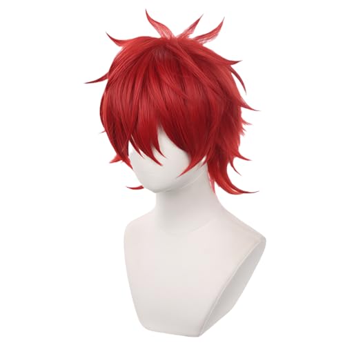 あんさんぶるスターズ! ! 天城 燐音 ウィッグ メッシュネット付き 小物 グッズ 撮影用 イベント 小物 コスプレ ハロウイン 仮装 変装