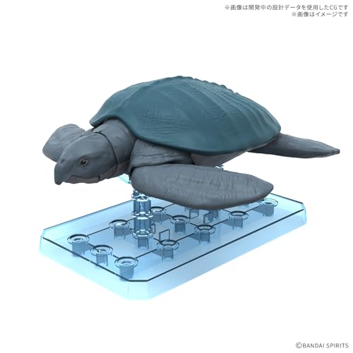 BANDAI SPIRITS(バンダイ スピリッツ) プラノサウルス ガチコセイブツ部 アーケロン 色分け済みプラモデル