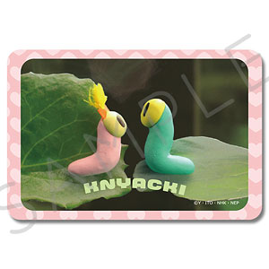 「ニャッキ！」 クリアカードステッカー デザインF