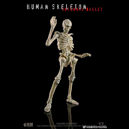 LEBOO 玩朝 1/12 生物の授業 ヒト骨格 スカル素体 白 ボディ 可動フィギュア