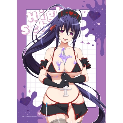 【グッズ-タペストリー】ハイスクールD×D HERO 描き下ろしB2タペストリー(姫島朱乃/黒ナース)Wスエード【再販】