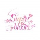 BD Ensemble Stars！！ Cast Live Starry Symphony -Superbloom- Day2盤 (Blu-ray Disc)