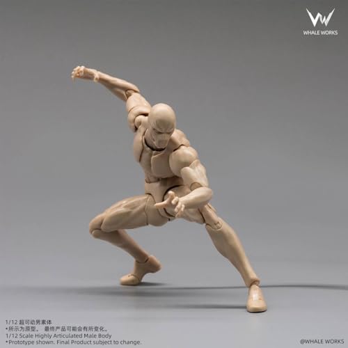 [Tbmodel] 鯨工坊 1/12 フィギュア 超可動 男性 Ash 素体 ヘッド フルセット コスプレ アクション WW03 (A)