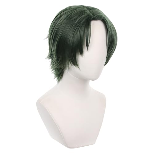 あんさんぶるスターズ 蓮巳敬人 ウィッグ コスプレ かつら グッズ ウィッグネット 耐熱性 イベント ハロウイン クリスマス 仮装 変装 撮影用