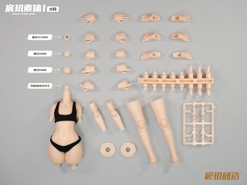 LEBOO 宸玑研造 1/12 宸玑骸体 基本美術素体 サイズ S 完成品 シームレス素体 素体フィギュア可動