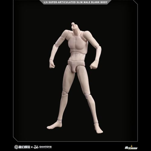 HiPlay DAMTOYS 1/6 超可動 男性 素体 美白肌 FSJB-01A ボディ フィギュア 細マッチョ体型