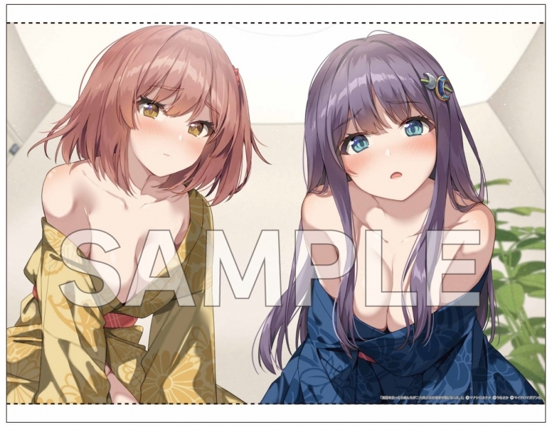 黒猫を拾ったら俺んちが二大美少女の溜まり場になった。(3) ゲーマーズ限定版【オリジナルB2タペストリー付】