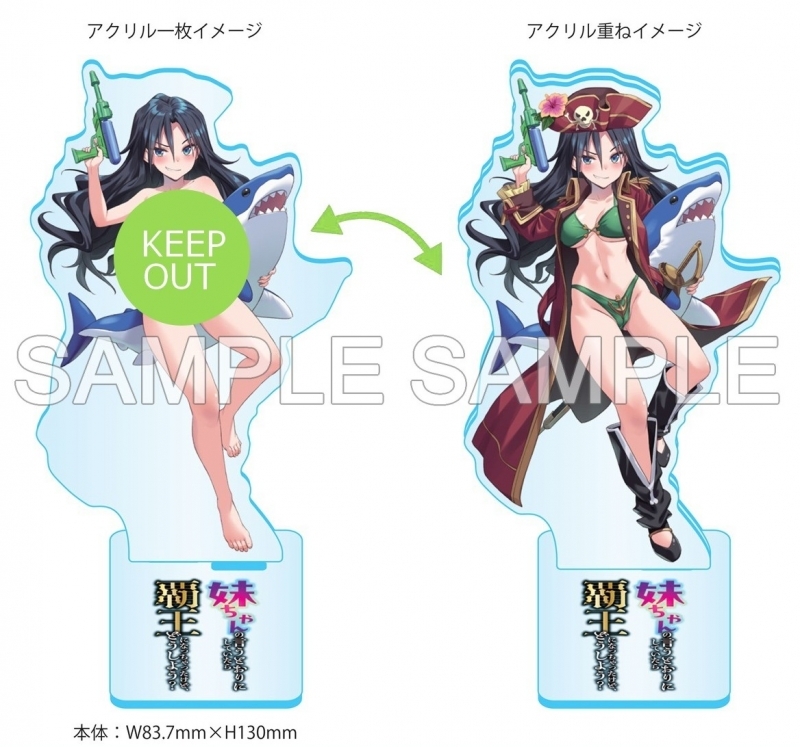 妹ちゃんの言うとおりにしていたら覇王になっちゃったけど、どうしよう?(3) ゲーマーズ限定版【描き下ろし着せ替えアクリルスタンド付】