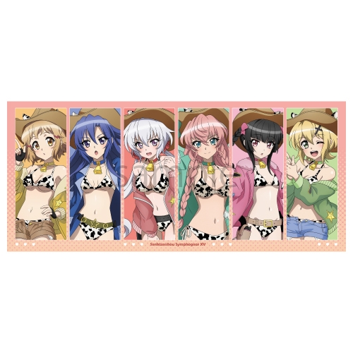 戦姫絶唱シンフォギアＸＶ 描き下ろし スポーツタオル カウガールver.【催事商品】