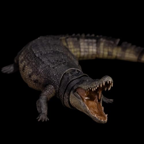 Nanmu 本心楠改零集可動シリーズ イリエワニ フィギュア 全身29箇所可動 アクションモデル 35cm級 爬虫類 ワニ 模型 リアル PVC+POM プラモデル 完成品 動物 おもちゃ プレゼント コレクション 置物 インテリア雑貨 (グリーン) [並行輸入品]