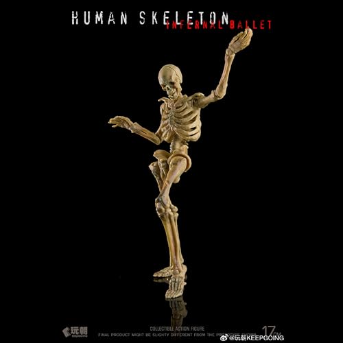 LEBOO 玩朝 1/12 生物の授業 ヒト骨格 スカル素体 肌の色 ボディ 可動フィギュア