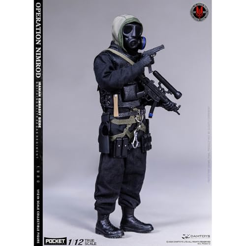 HiPlay DAMTOYS 1/12 イギリス特殊空挺部隊 SAS CRW オペレーション・ニムロド 通常版 NO.PES012 可動フィギュア 塗装済み 完成品