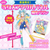 【予約発売】アイカツアカデミー！ほぼ等身大アクリルパネル1st Anniversary　和央パリン