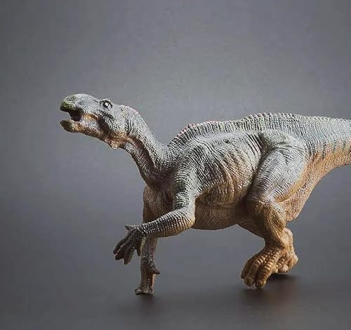 Raineed 恐竜フィギュア 実心モデル 複数種｜リアル ティラノサウルス 恐竜模型 硬質PVC｜手塗り ディスプレイ・コレクション 模型好き ギフト 玩具 男の子 子供 誕生日 プレゼント 装飾 (D 22.5cm)