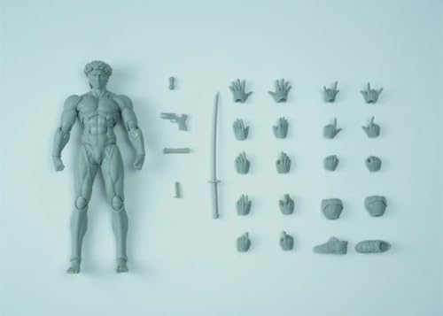 [Tbmodel] Chiye Studio1/12 フィギュア 超可動 男性 デビッド 素体 ヘッド フルセット コスプレ アクション (グレー)