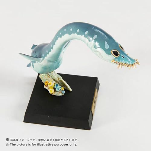 動物惑星&ROUNDREX ANIMAL 5.0 プラコドゥス モササウルス プリオサウルス 8CM級 古生物 海生爬虫類 フィギュア 恐竜 樹脂 可愛い おもちゃ プラモデル 動物好き 模型 (プラコドゥス)